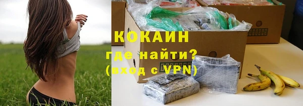 трава Пересвет